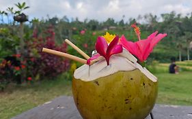 Ananda Homestay Lemukih