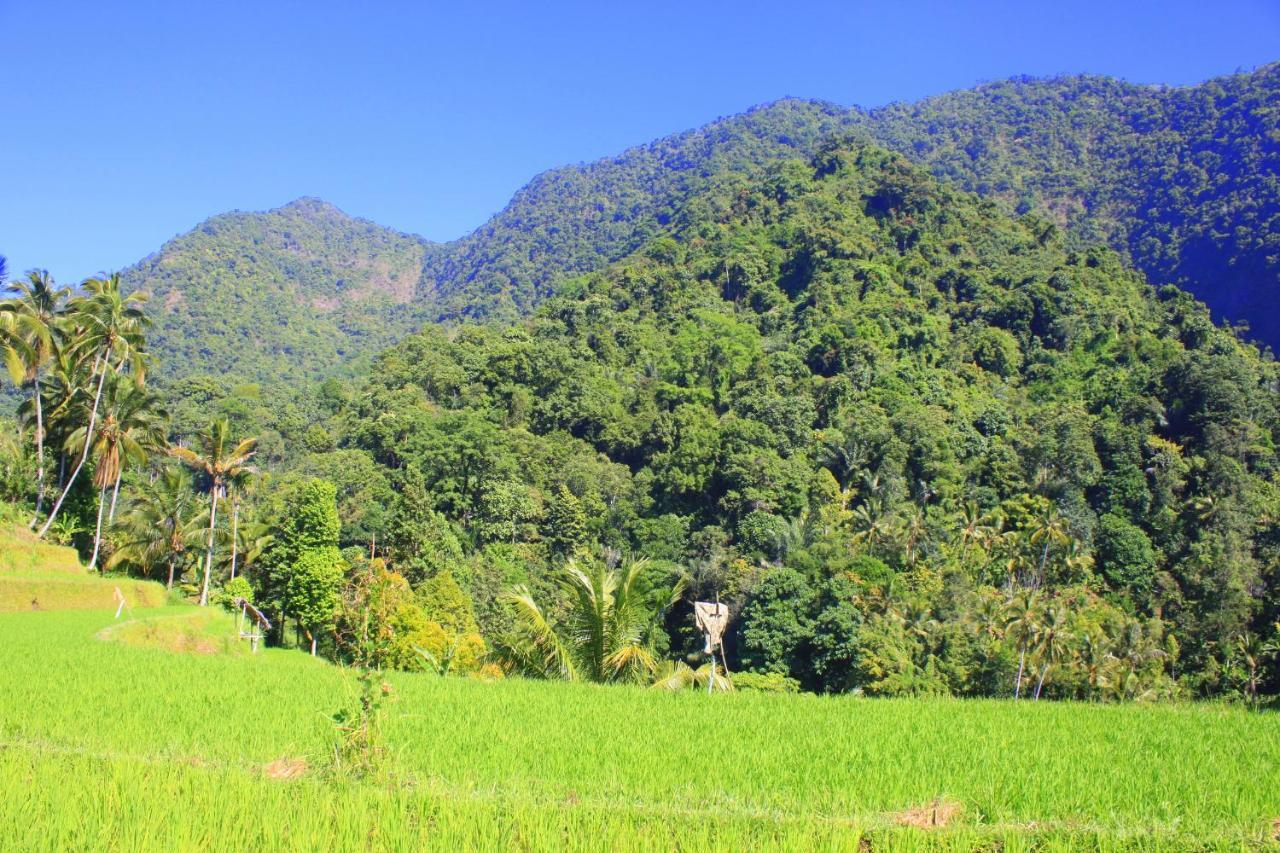 Ananda Homestay Lemukih Singaraja Buitenkant foto